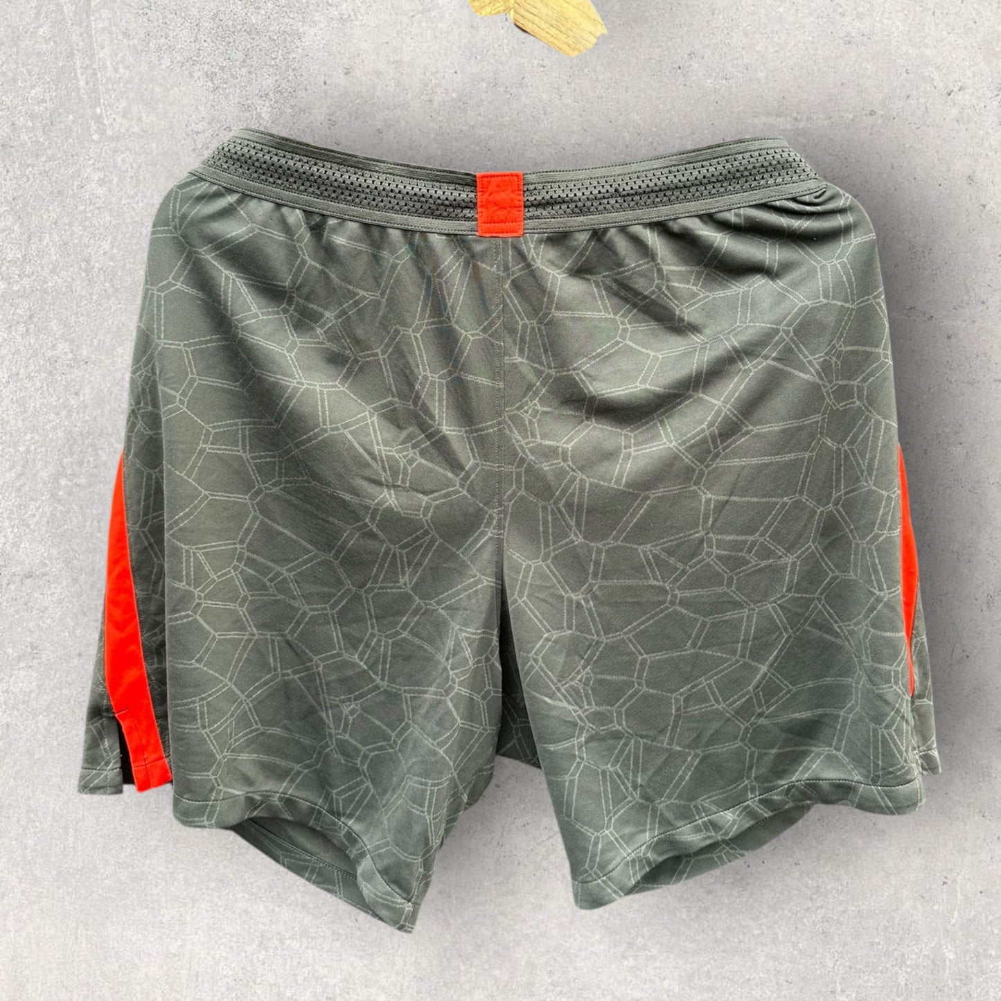 Sydney Swans Nike Grey Training Shorts