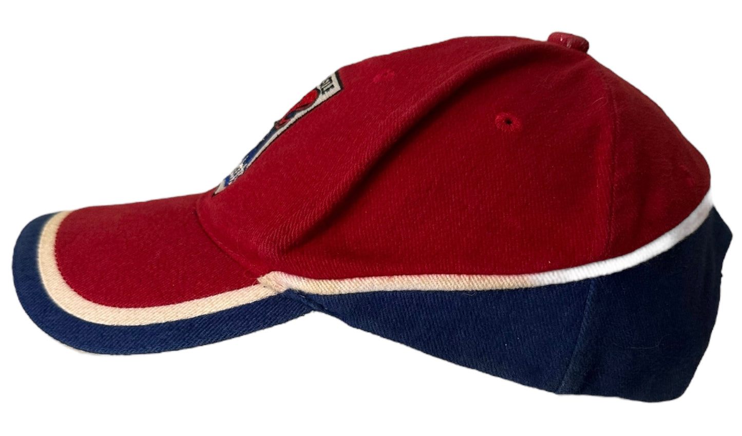 NEWCASTLE KNIGHTS VINTAGE EARLY 2000s HAT