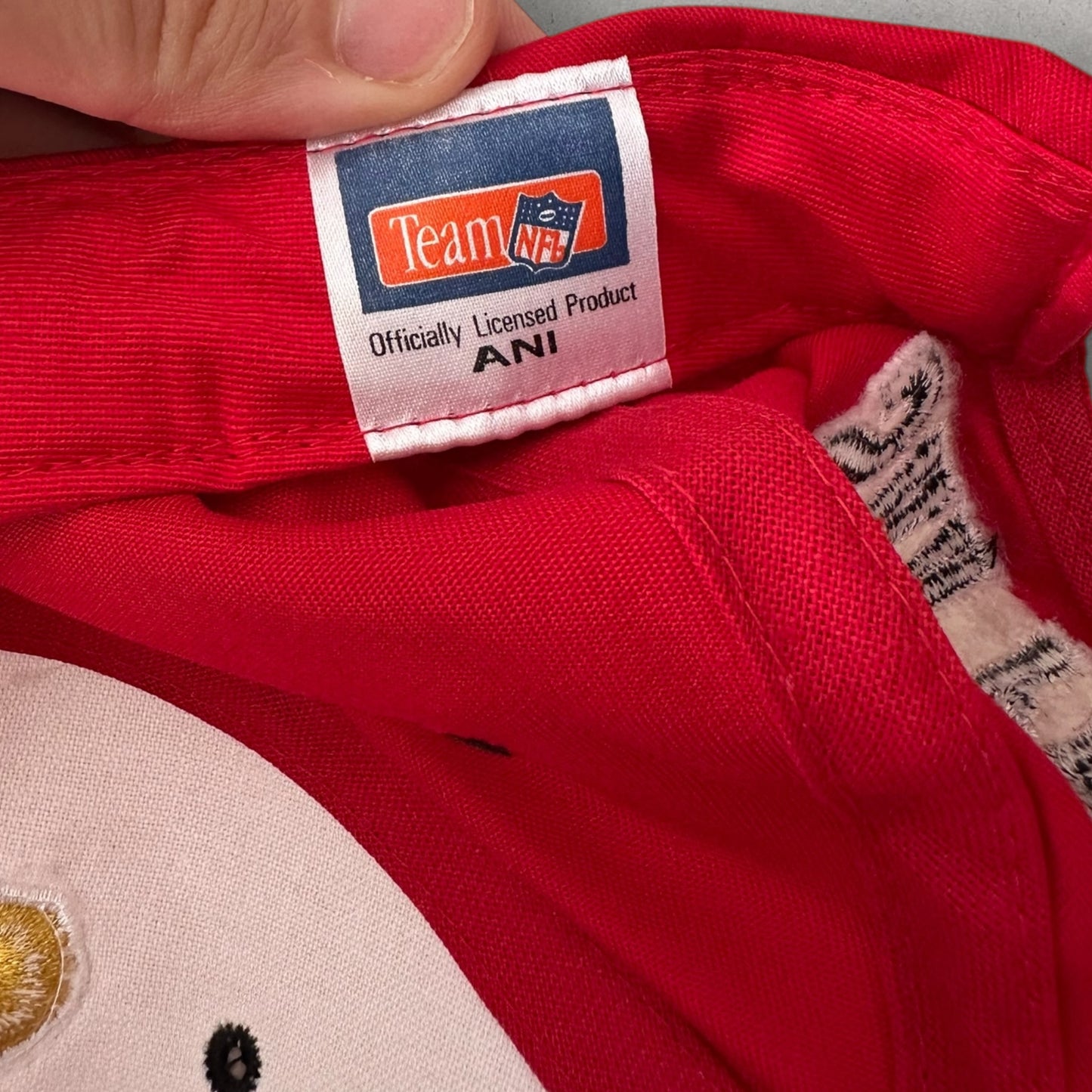 SAN FRANCISCO 49ERS VINTAGE SNAPBACK NFL HAT