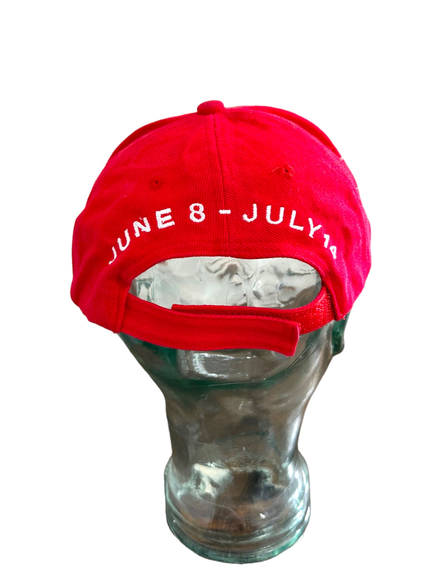 BRITISH AND IRISH LIONS 2001 TOUR HAT