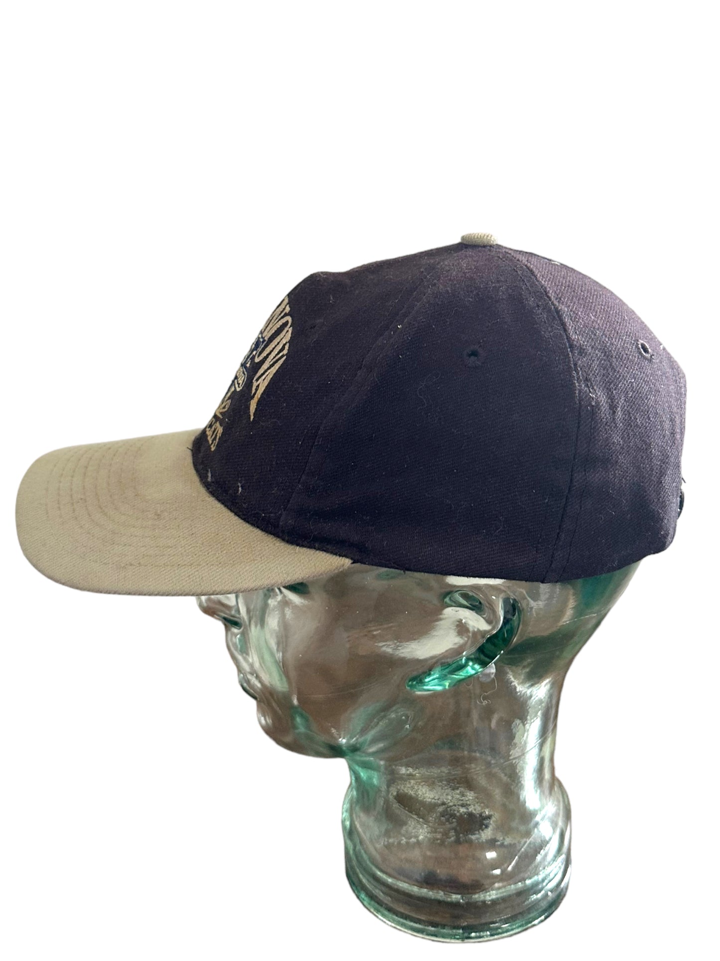 VILLANOVA WILDCATS VINTAGE TWO TONE HAT