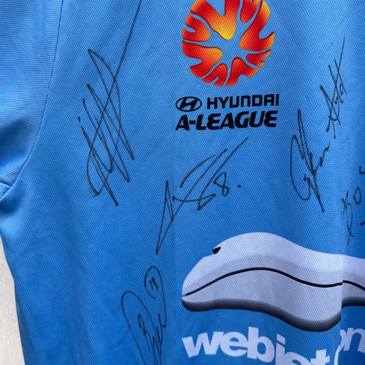 SYDNEY FC 2015-2016 PUMA HOME FOOTBALL JERSEY SIGNED BY SQUAD