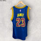 LEBRON JAMES CLEVELAND CAVALIERS 2016 ADIDAS NBA JERSEY