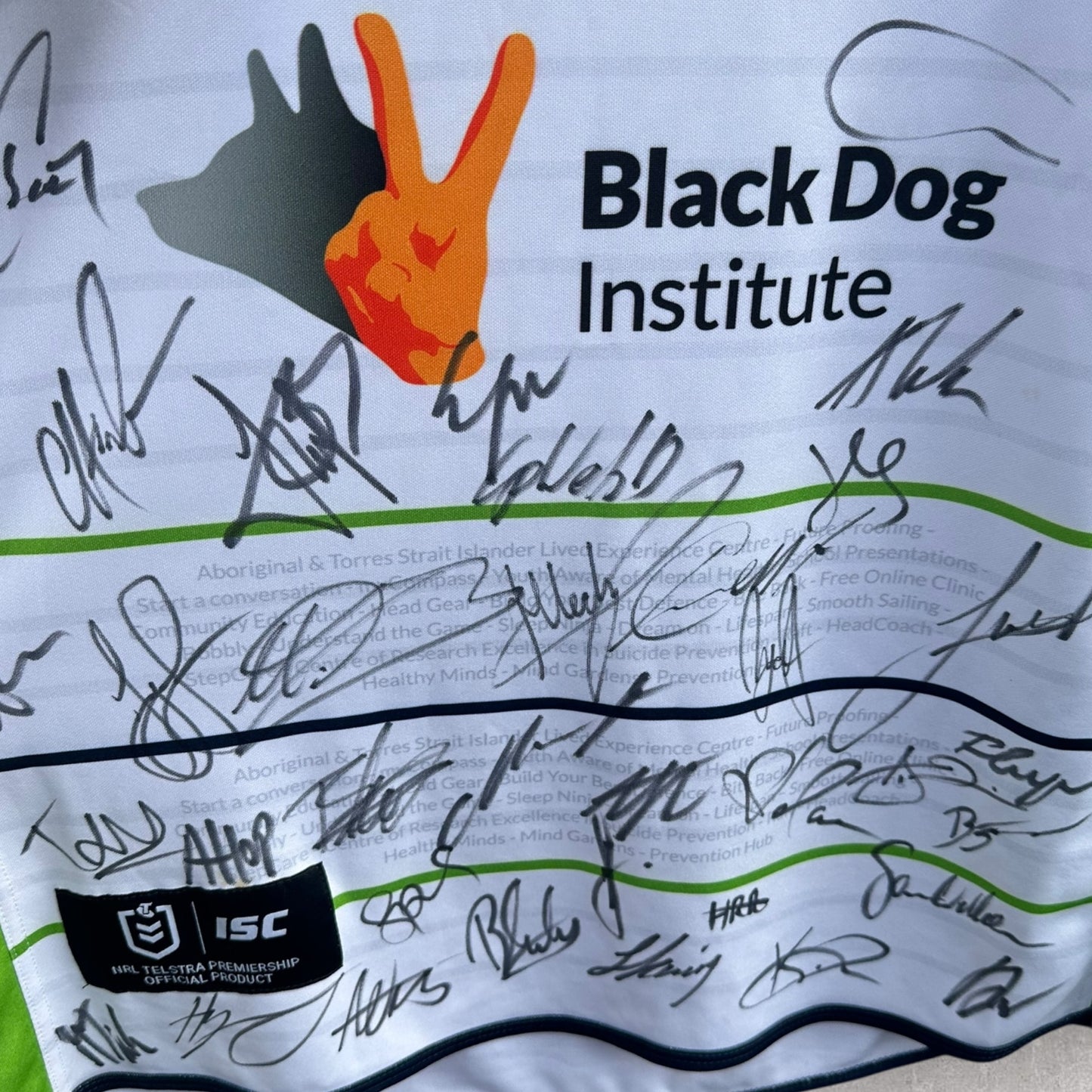Canberra Raiders 2020 Charity / Mental Health Jersey Signed By Team Brand new