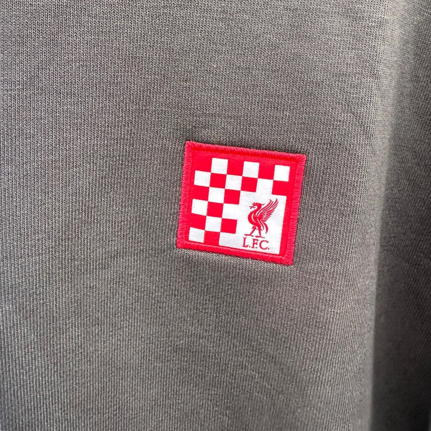 Liverpool FC Nike Standard Issue 2024/2025 Pullover Grey Football Hooded Jumper