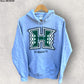 HAWAII UNIVERSITY GREY HOODED JUMPER