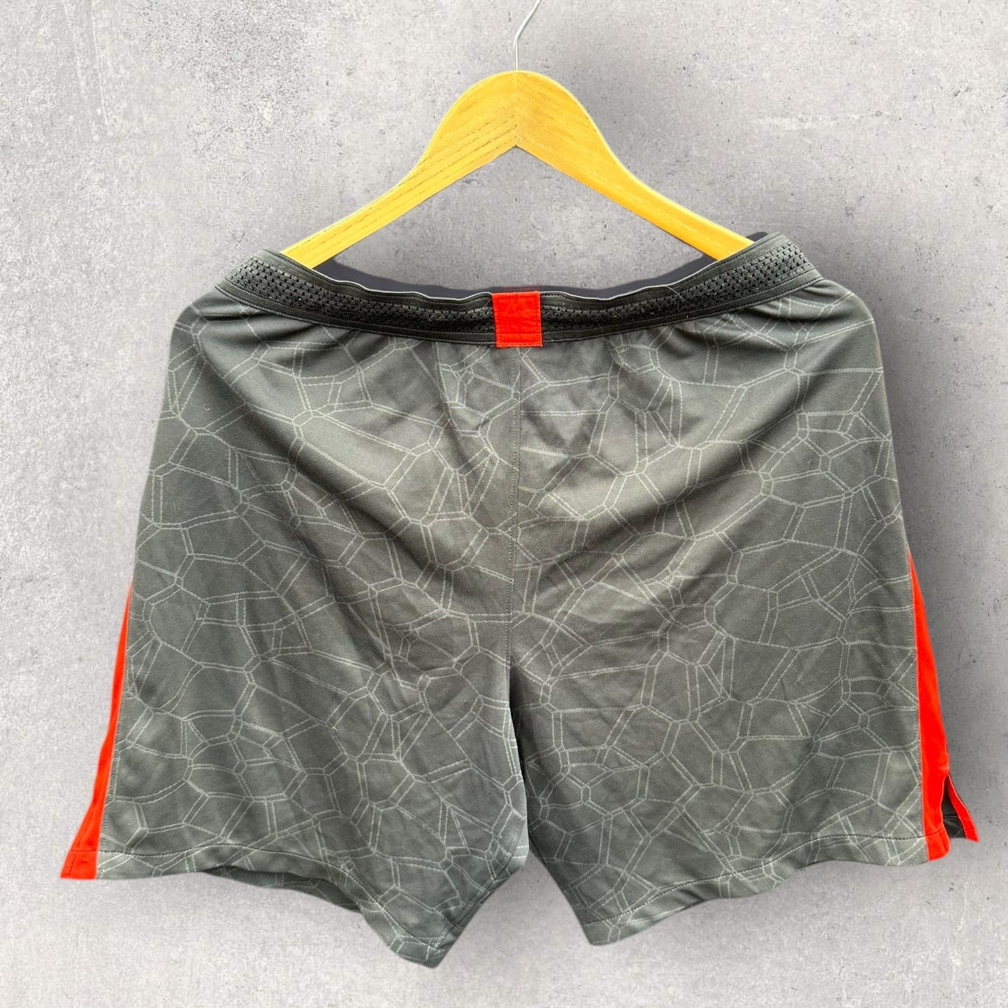 SYDNEY SWANS NIKE GREY TRAINING SHORTS