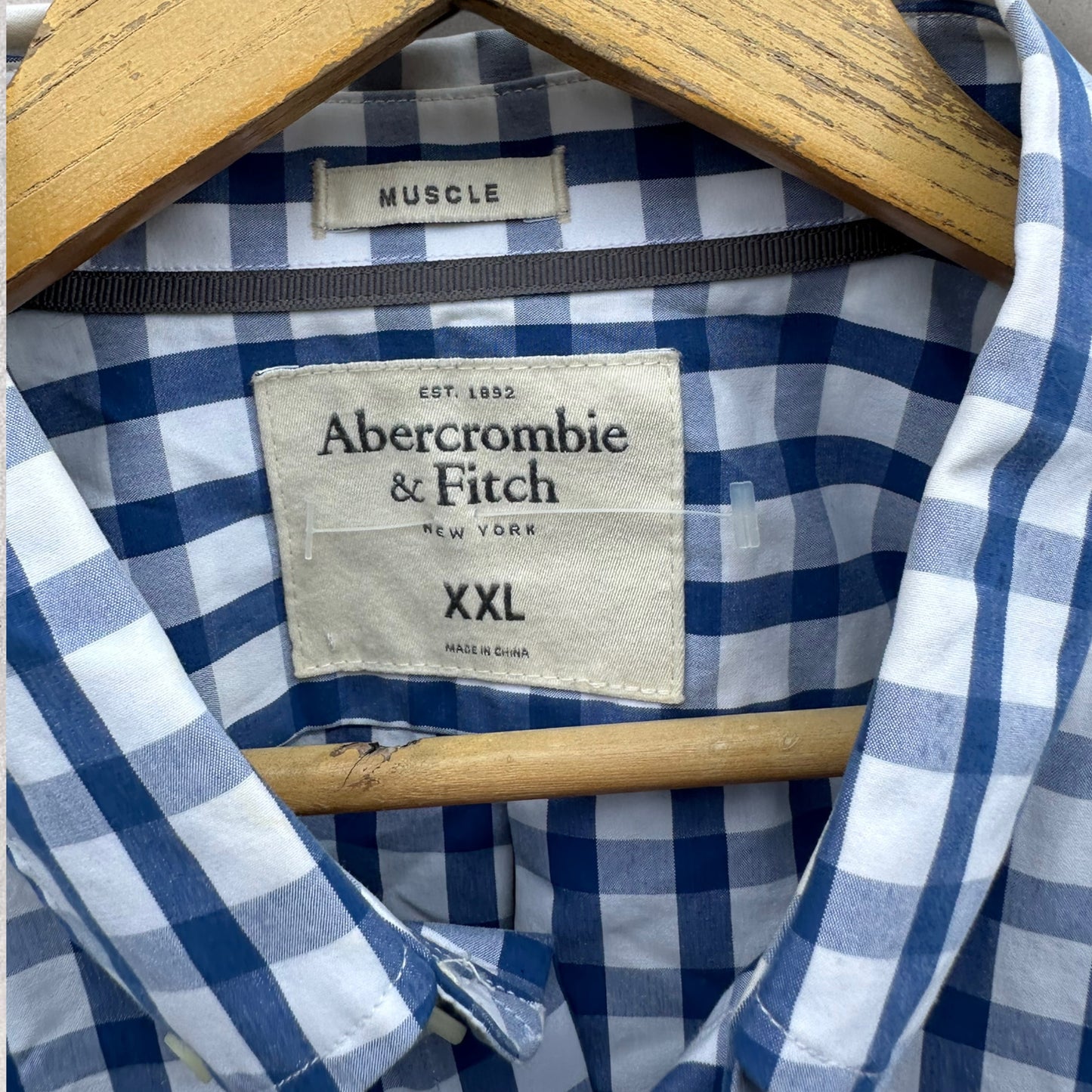 ABERCROMBIE & FITCH MENS BLUE & WHITE CHECKERED LONG SLEEVE BUTTON UP MUSCLE SHIRT