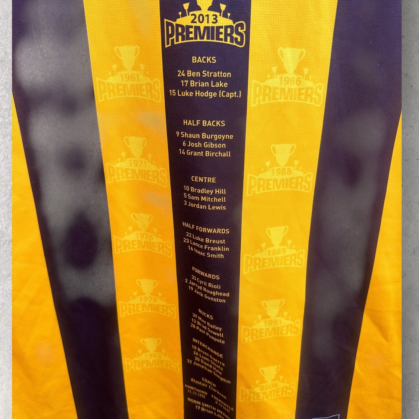 HAWTHORN HAWKS ADIDAS 2013 PREMIERS AFL GUERNSEY