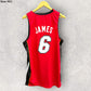 LEBRON JAMES MIAMI HEAT 2013 ADIDAS NBA JERSEY