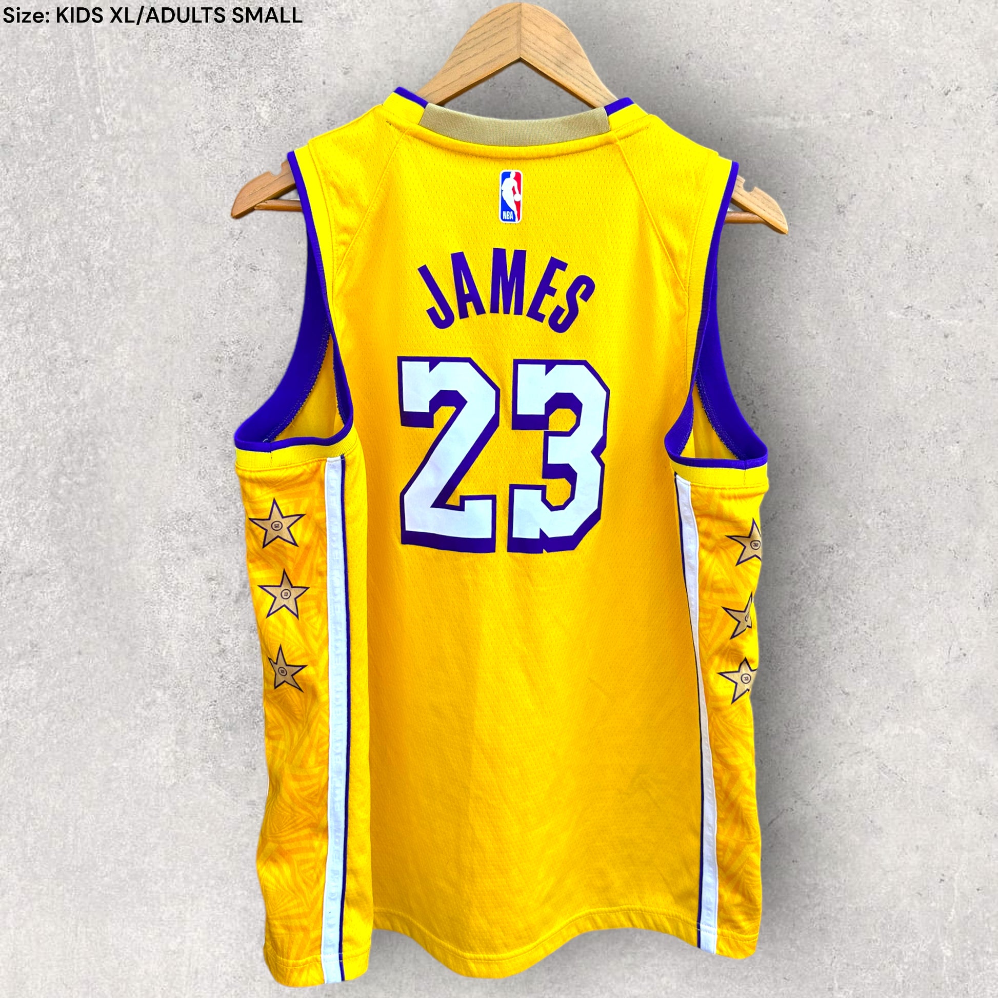 LEBRON JAMES LA LAKERS 2019 NIKE LORE SERIES JERSEY