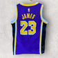 LEBRON JAMES LAS ANGELES LAKERS KIDS PURPLE NBA JERSEY