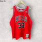 Chicago Bulls Scotty PIPPEN Hardwood Classic NBA jersey