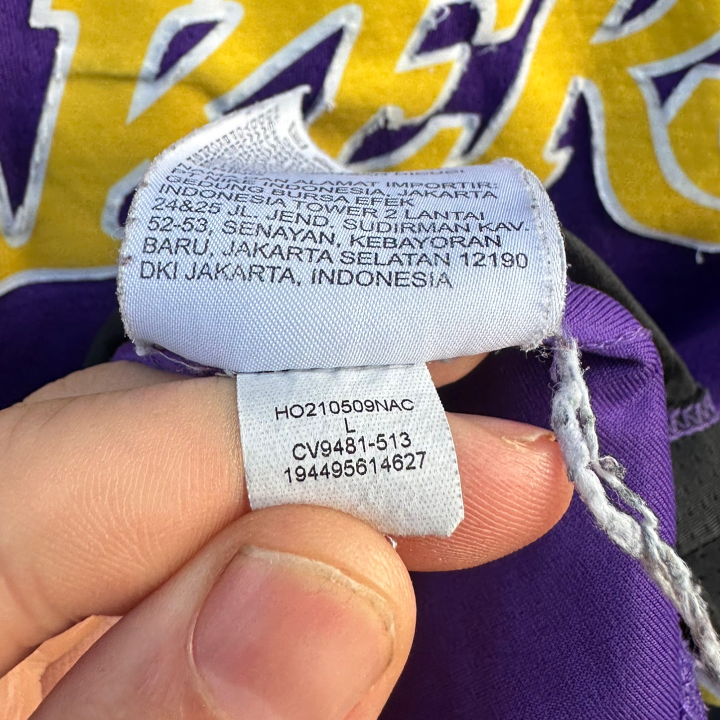LEBRON JAMES LA LAKERS PURPLE NIKE JERSEY