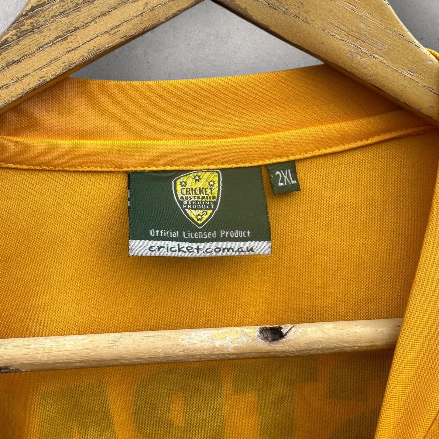 Cricket Australia Ashes Series Training Shirt