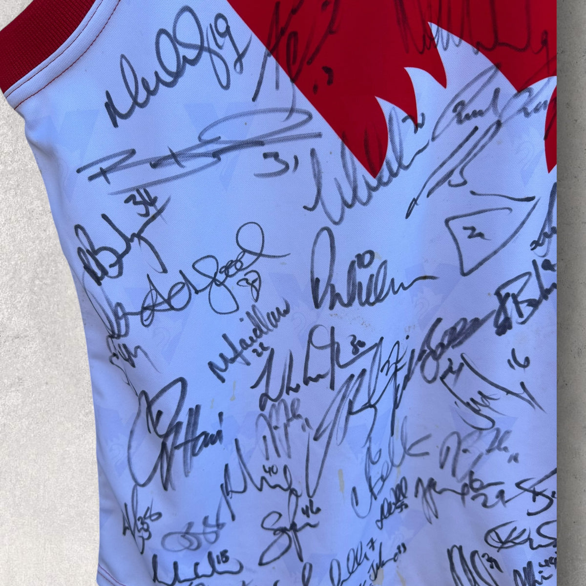 Sydney Swans 2005-2006 Player Issued Puma Home Guernsey Signed By Squad