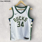 Giannis ANTETOKOUNMPO Milwaukee Bucks Nike NBA Swingman Basketball Jersey