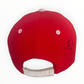 Sydney Swans 2024 Members Squad Signed AFL Hat Cap