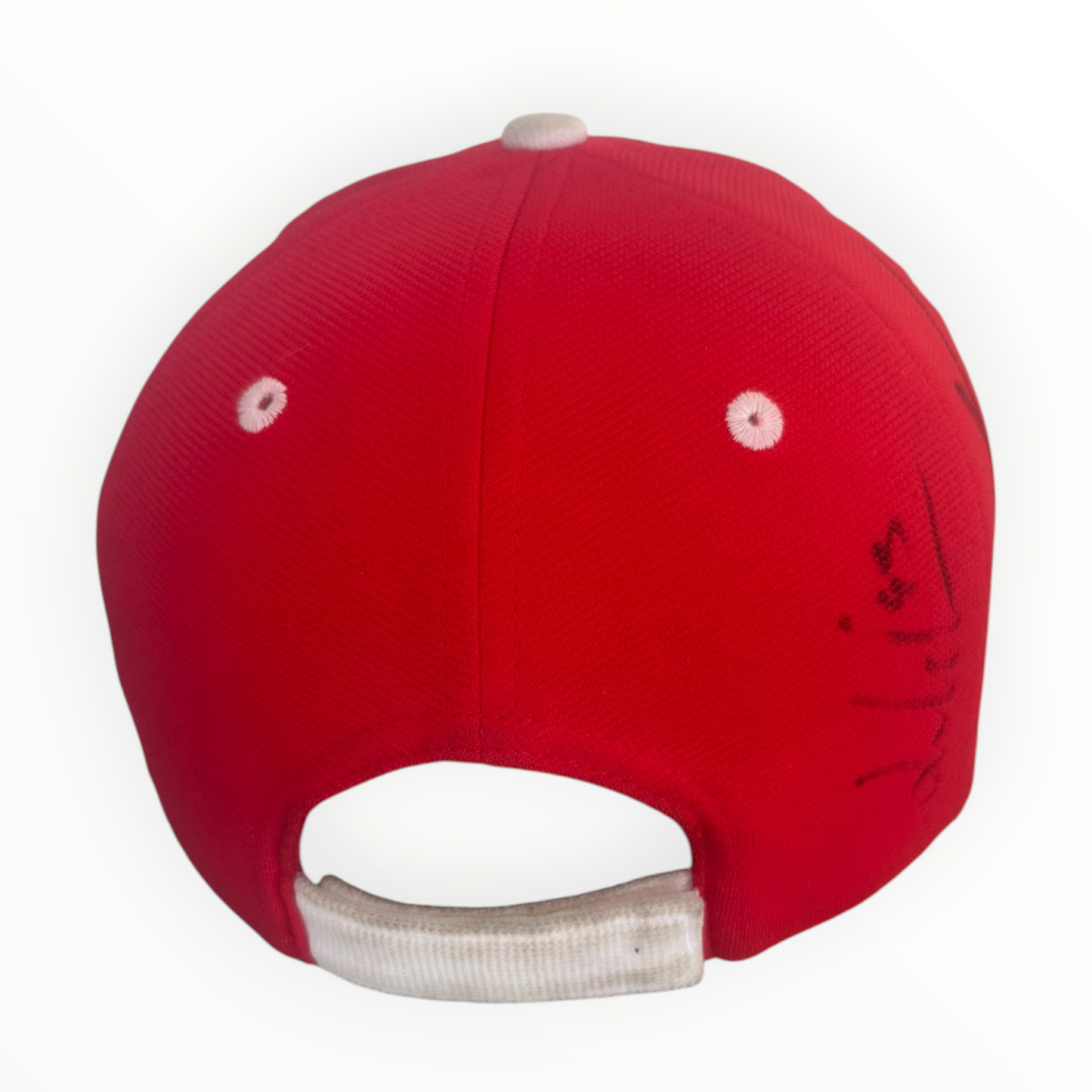 Sydney Swans 2024 Members Squad Signed AFL Hat Cap