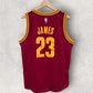 LeBron James Cleveland Cavaliers 2015 Adidas NBA Swingman Jersey