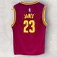 Lebron James Cleveland Cavaliers 2015 Kids Adidas NBA Jersey