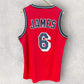 Lebron James Miami Heat Adidas Hardwood Classic NBA Jersey