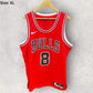 Zach Lavine Chicago Bulls Nike NBA Swingman Basketball Jersey