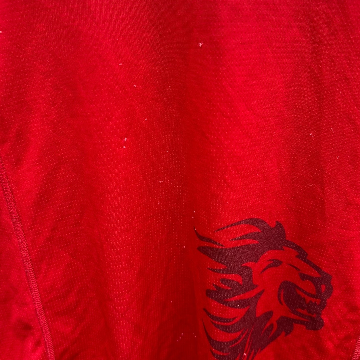 GLENN MAXWELL MATCH WORN KINGS XI PUNJAB IPL JERSEY