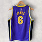 LeBron James Los Angeles Lakers LA Nike NBA Swingman Kids Basketball Jersey