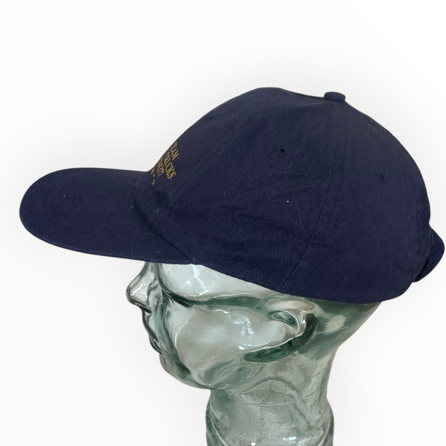 Team Taxi Services Gold Coast Vintage Hat Cap