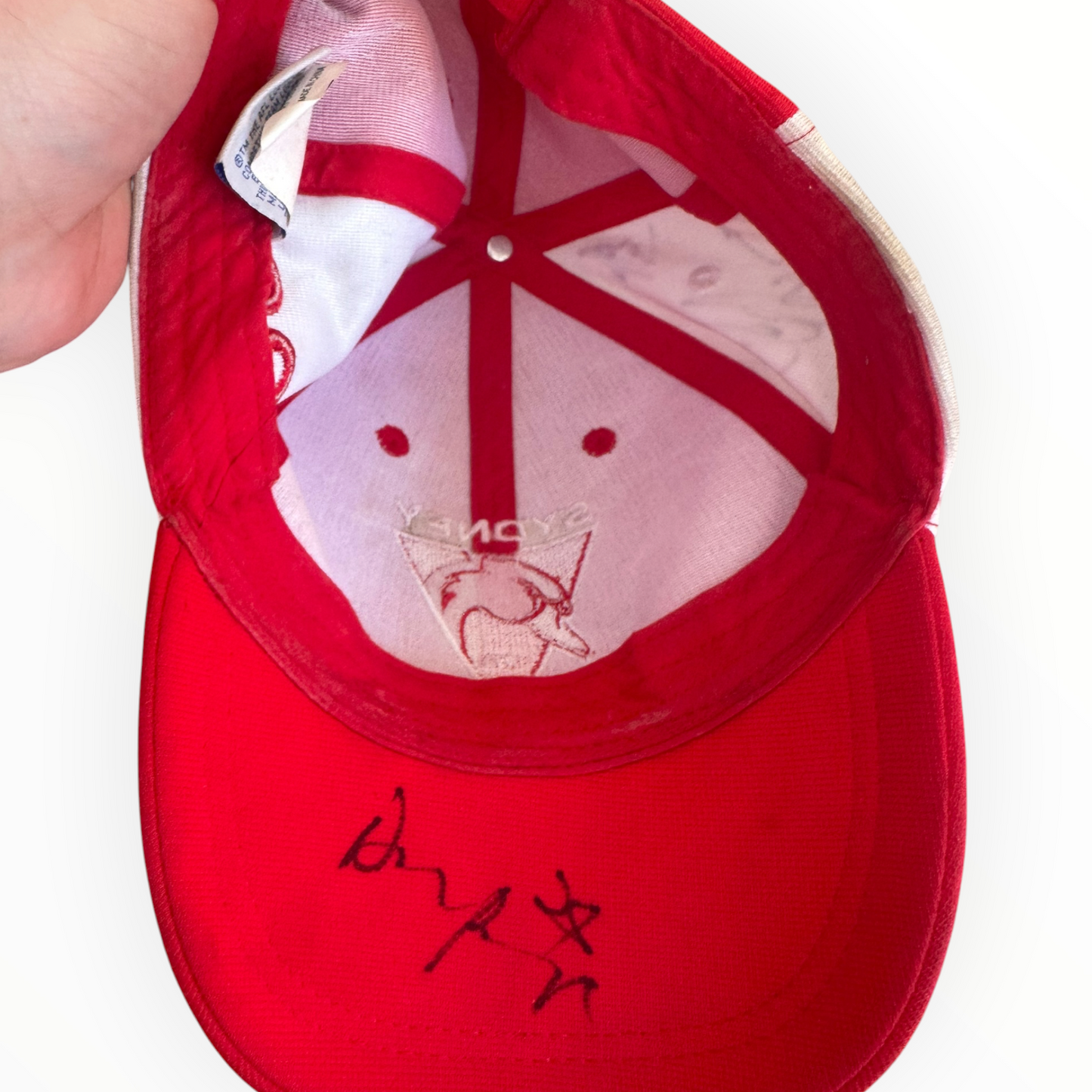 Sydney Swans 2022 Members Squad Signed AFL Hat Cap