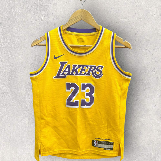 Lebron James LA Lakers Nike Kids Swingman 2024 NBA Jersey